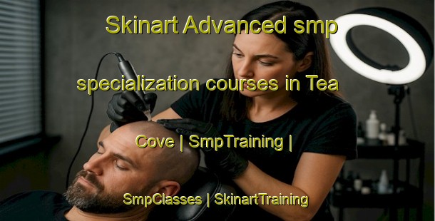 Skinart Advanced smp specialization courses in Tea Cove | SmpTraining | SmpClasses | SkinartTraining-Canada